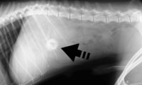 IM-0001-1001.jpg