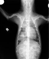 IM-0001-1001.jpg