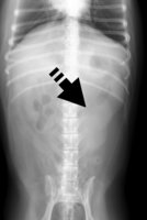 IM-0001-1001.jpg