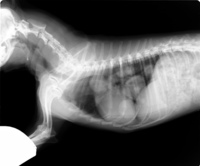 IM-0001-2002 11 (1).jpg