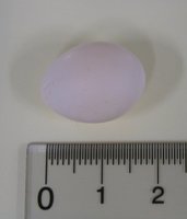 P1010001.jpg