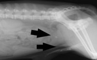 IM-0001-1001.jpg