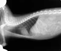 IM-0002-0002.jpg